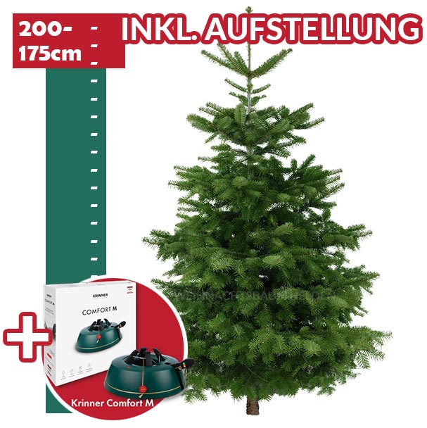 Weihnachtsbaum Helden Frankfurt Premium-Paket-inkl-2-Meter-Baum & Christbaumstaender